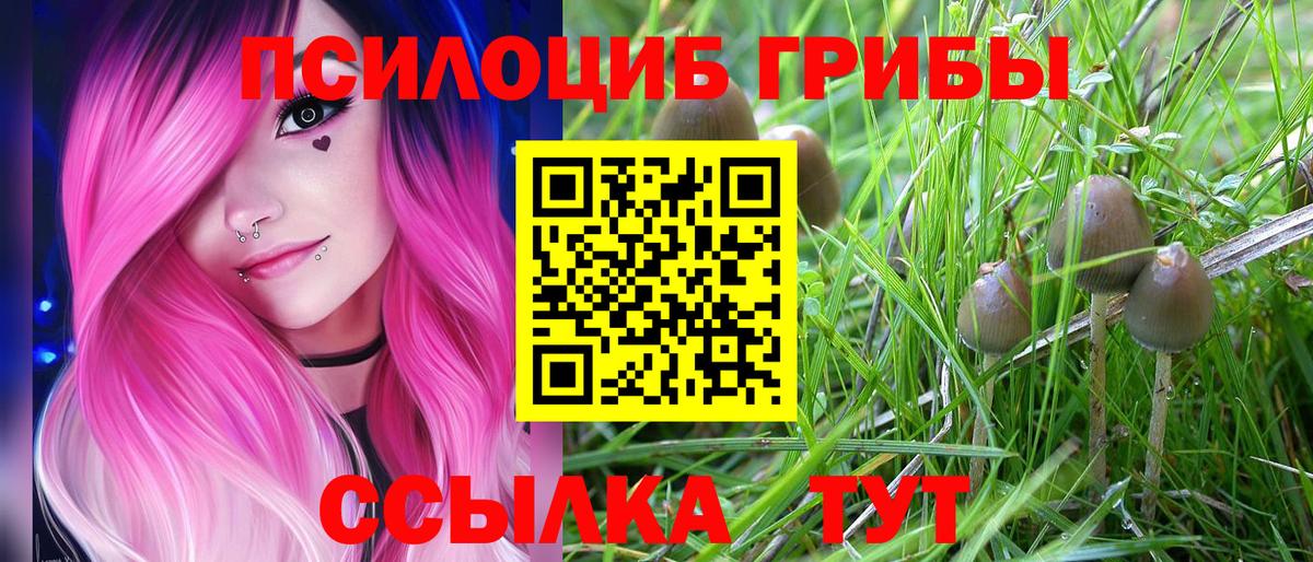 Донецк  Псилоцибиновые грибы GOLDEN TEACHER  Вход с VPN 