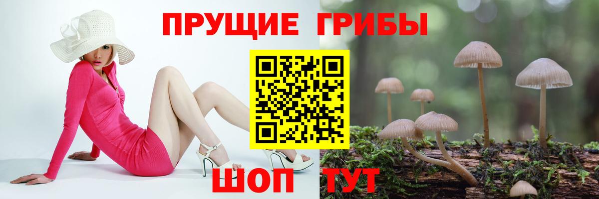 Псилоцибиновые грибы GOLDEN TEACHER Донецк